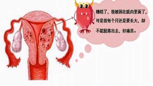 广州医科大学附属第三医院做试管可以选性别吗 2023广州供卵试管医院排名 ‘