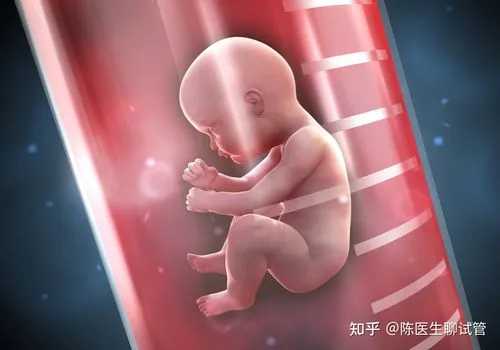有关供卵的法律,2023
在北京做供卵试管婴儿要多