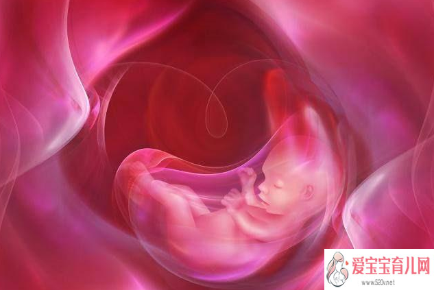 代孕需要多久_泰国试管移植后怎么保胎?